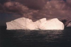 Iceberg