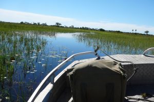 Okavango Delta